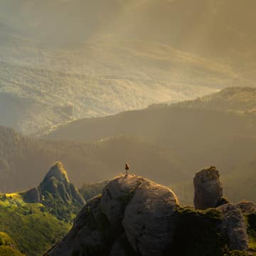 Morning wilderness, David Marcu